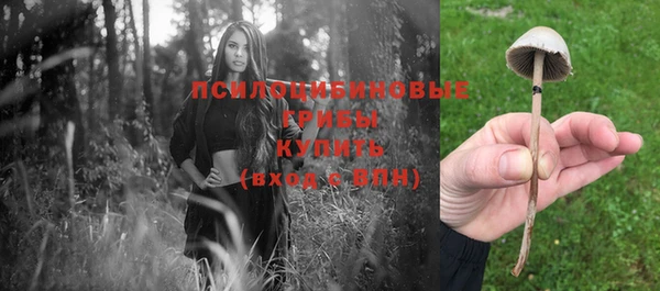 гашишное масло Михайлов