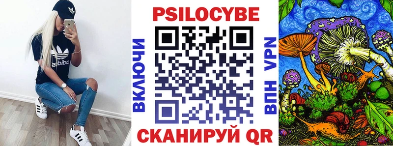 купить Озёрск Галлюциногенные грибы Psilocybe